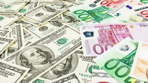 ABD doları ve euro banknotlarının birlikte yer aldığı döviz görseli