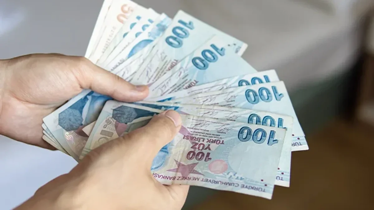 Elde tutulan Türk lirası banknotları