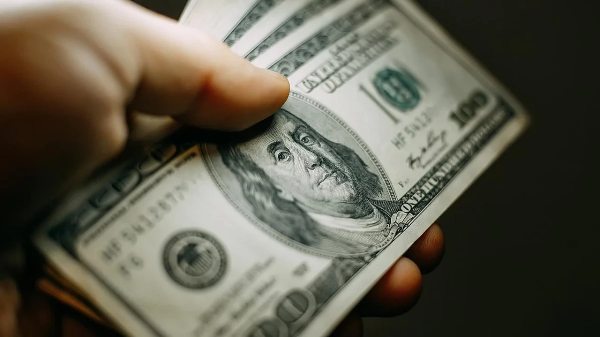 Bir kişinin elinde ABD doları banknotları