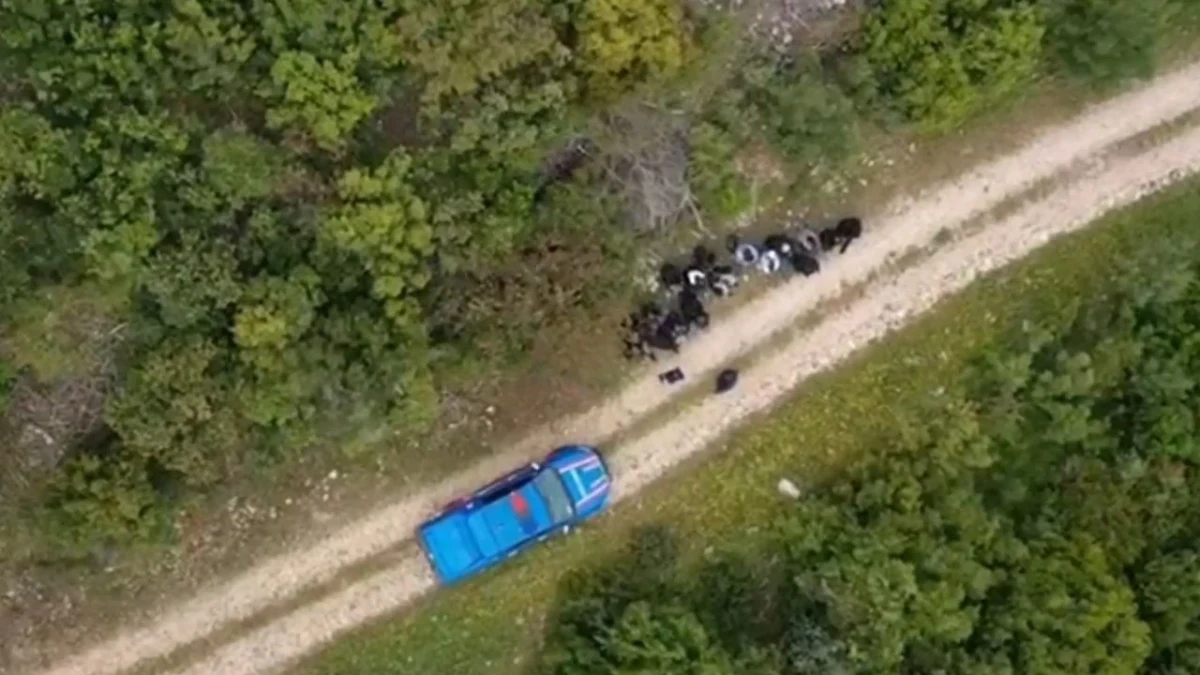 Ormanlık alandaki toprak yolda mavi bir araç ve yakınında görülen kişiler