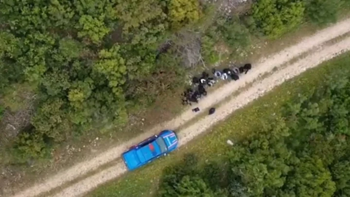 Ormanlık alandaki toprak yolda mavi bir araç ve yakınında görülen kişiler