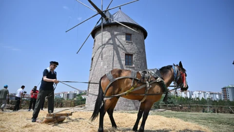 Altınköy Açık Hava Müzesi’nde taş yel değirmeni ve atlı tarım sahnesi