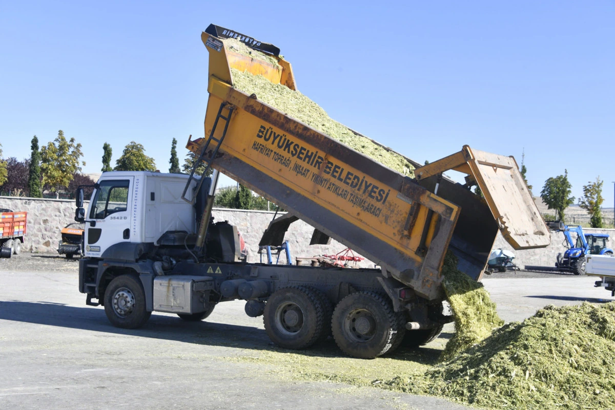 Ankara Büyükşehir Belediyesi kamyonu paketleme alanında mısır silajını boşaltıyor