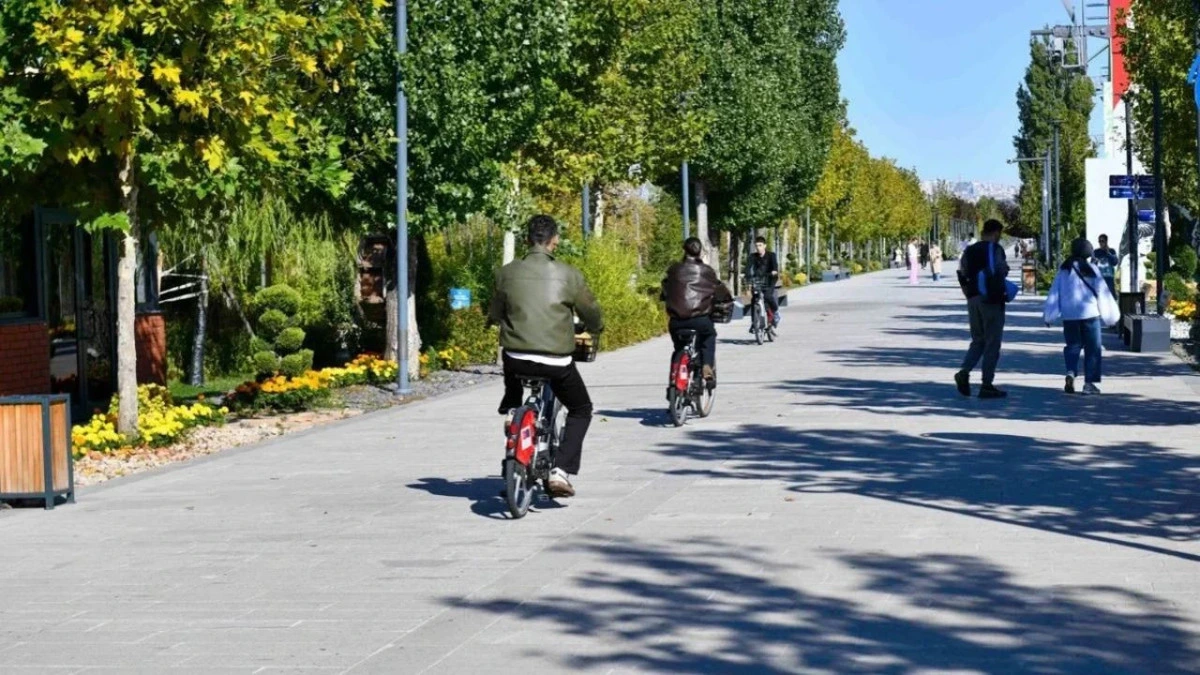 Ağaçlarla çevrili yolda elektrikli bisiklet kullanan kişiler