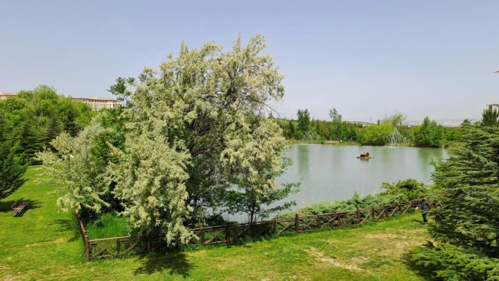 Ankara’da ağaçlarla çevrili bir göletin ve yeşil park alanının görünümü