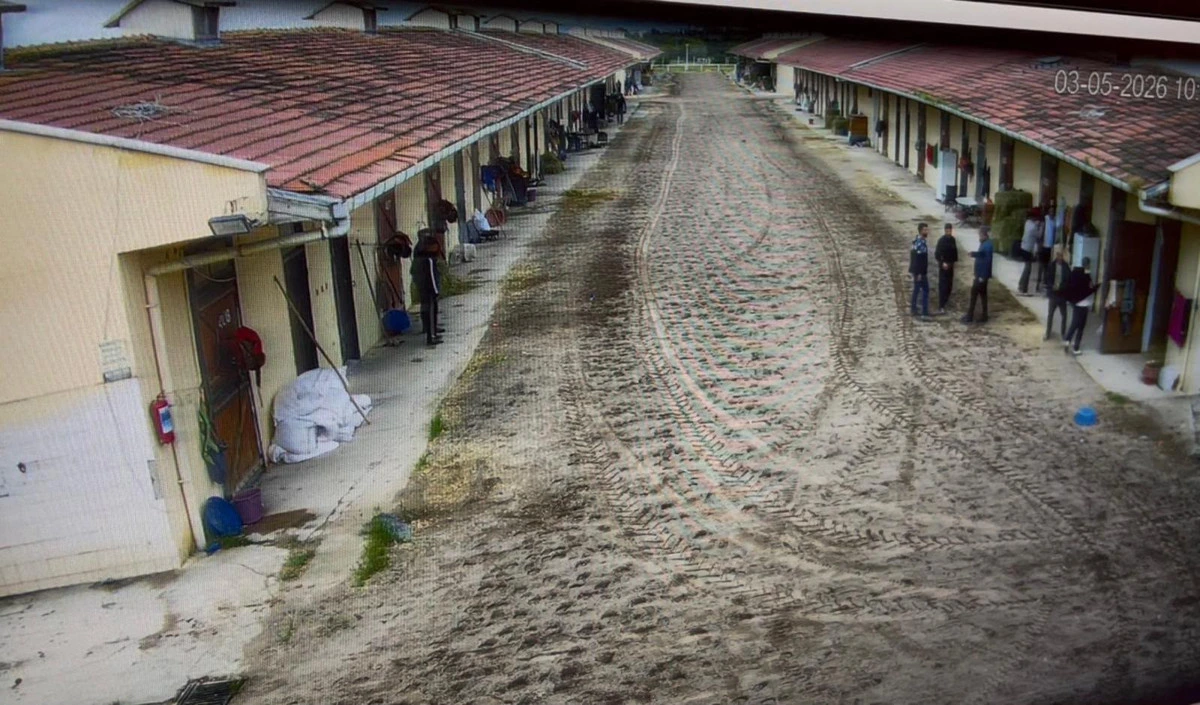 Hipodromda ahırların önündeki alanın güvenlik kamerası görüntüsü