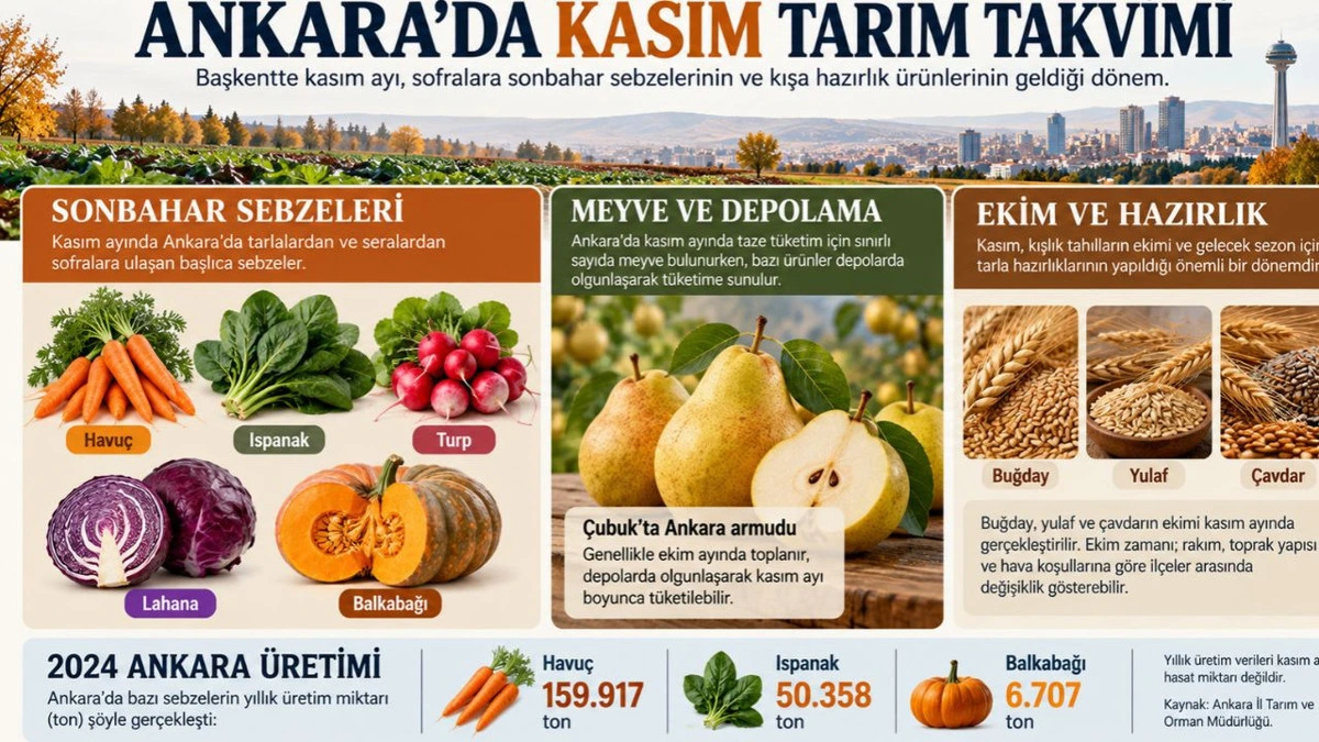 Ankara’da kasım tarım takvimini anlatan sebze, meyve, ekim ve üretim infografiği