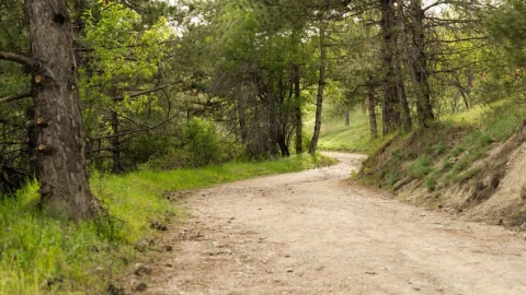 Ankara’da Şehirden Uzaklaşma Hissi Veren 11 Park ve Doğa Rotası