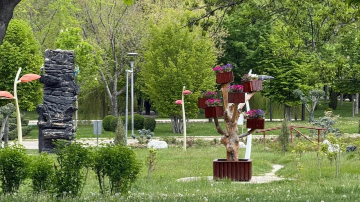 Ağaçlar ve çiçeklerle çevrili yeşil bir park alanı