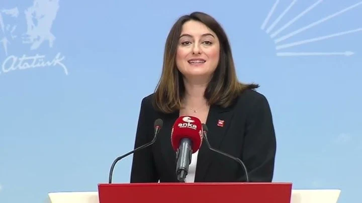 CHP Bartın Milletvekili Aysu Bankoğlu kürsüde konuşuyor