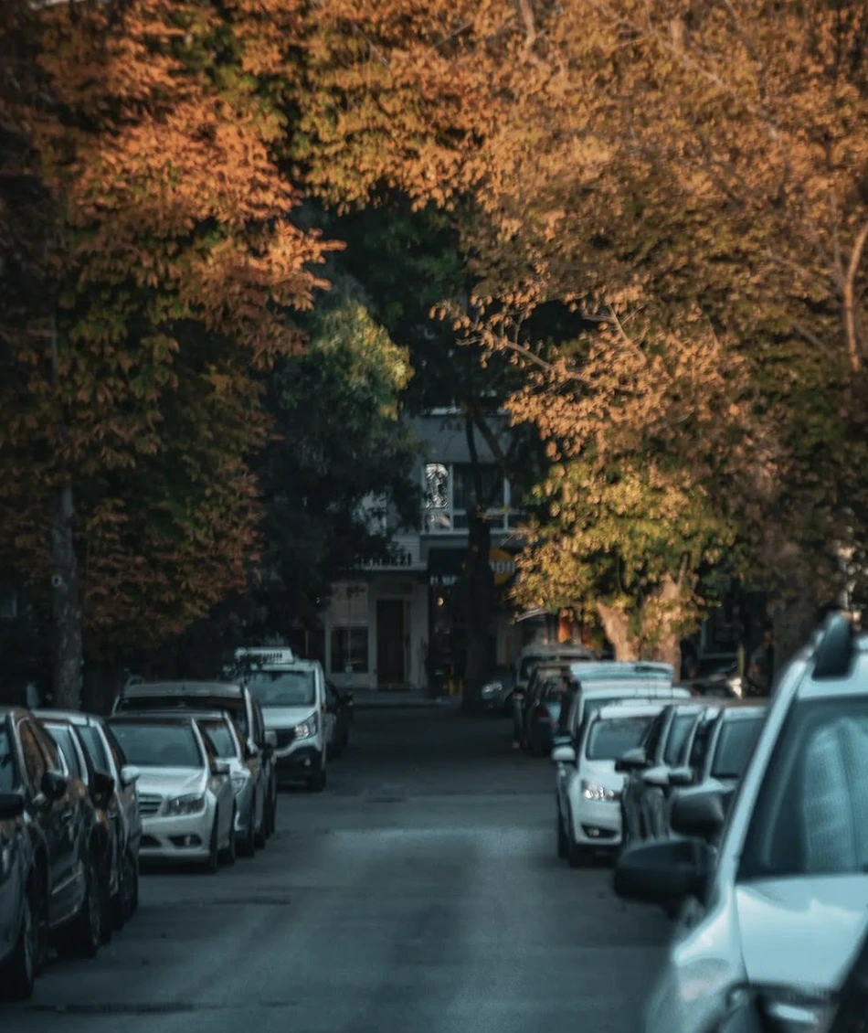 Ağaçlarla çevrili, iki yanında park etmiş araçların bulunduğu sokak