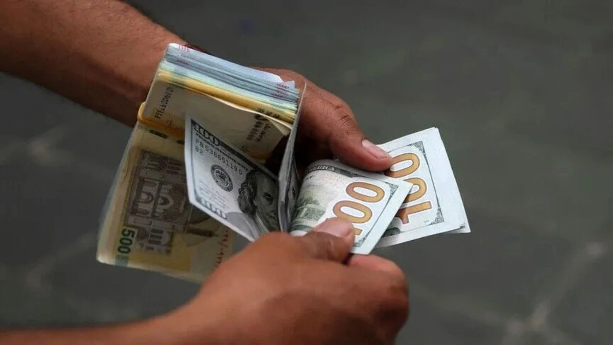 Elde tutulan ABD doları banknotları