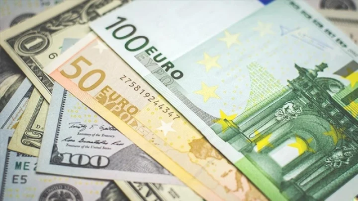 ABD doları ve euro banknotlarının üst üste yer aldığı görsel