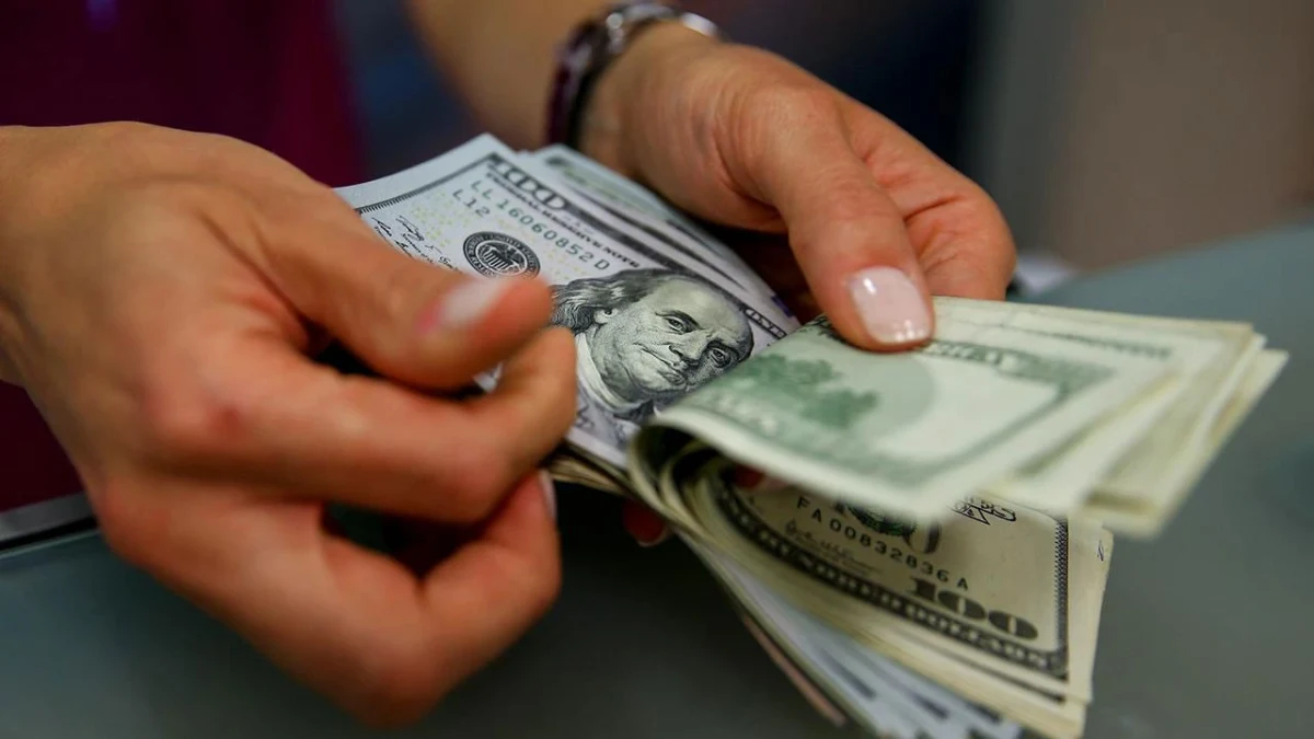 Bir kişinin elinde ABD doları banknotlarını sayması