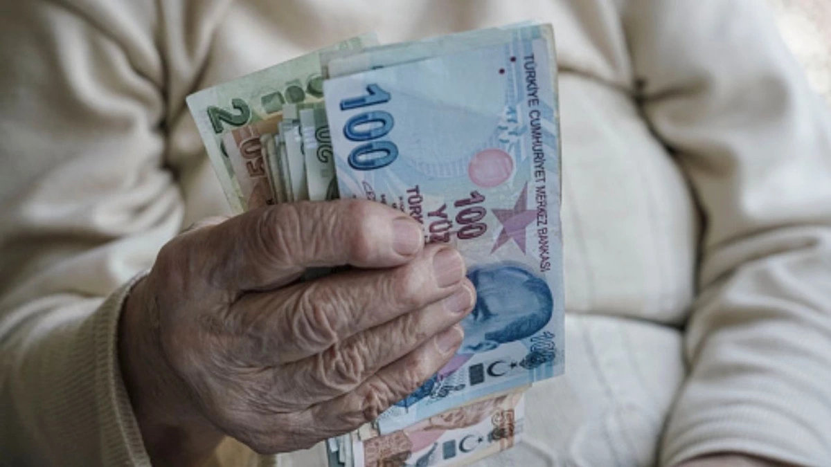 Elinde Türk lirası banknotları tutan yaşlı bir kişi