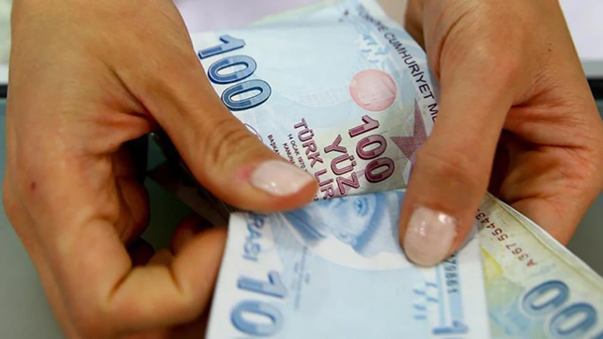 Ellerin tuttuğu Türk lirası banknotları