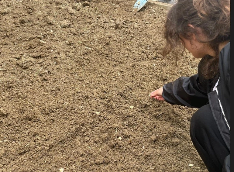Bir öğrenci okul bahçesindeki toprak alanda çalışmayı inceliyor