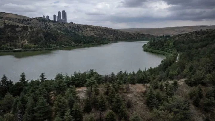 Ankara Eymir Gölü’nün ağaçlarla çevrili kıyıları ve su yüzeyi