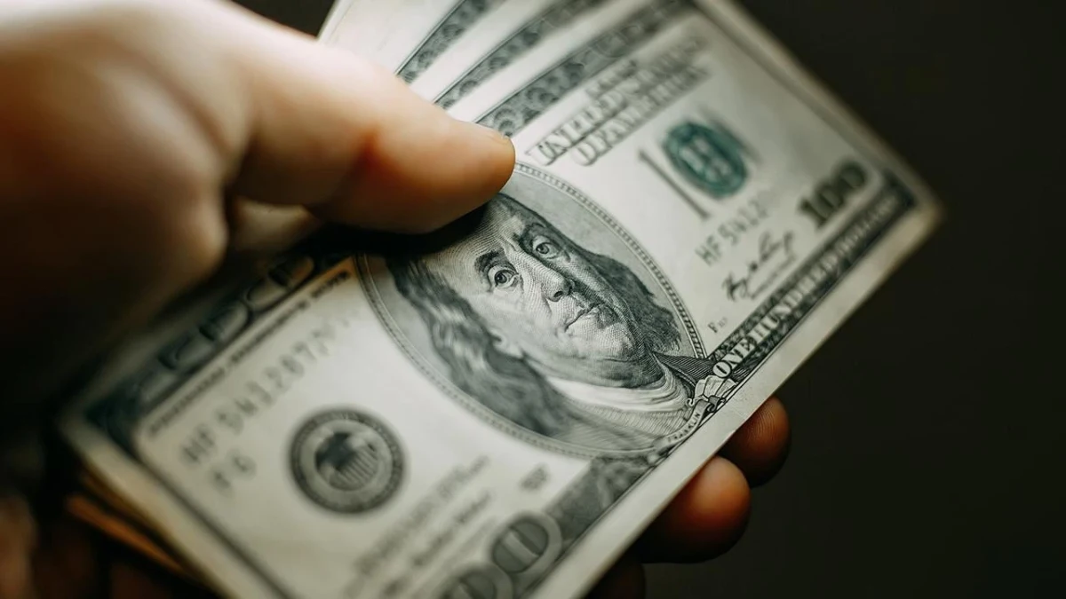 Bir elde tutulan ABD doları banknotları
