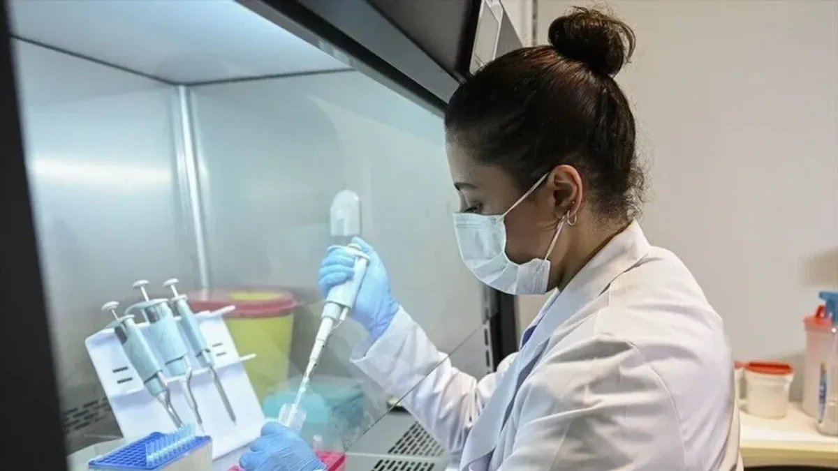 Laboratuvarda kene örnekleri üzerinde çalışan araştırmacı