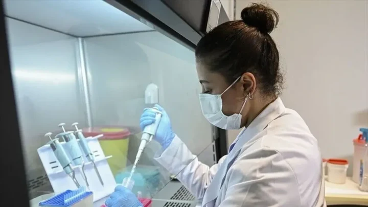 Laboratuvarda kene örnekleri üzerinde çalışan araştırmacı