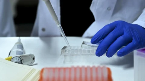 İstanbul’daki soruşturmada yasa dışı yumurta ticareti yazışmaları