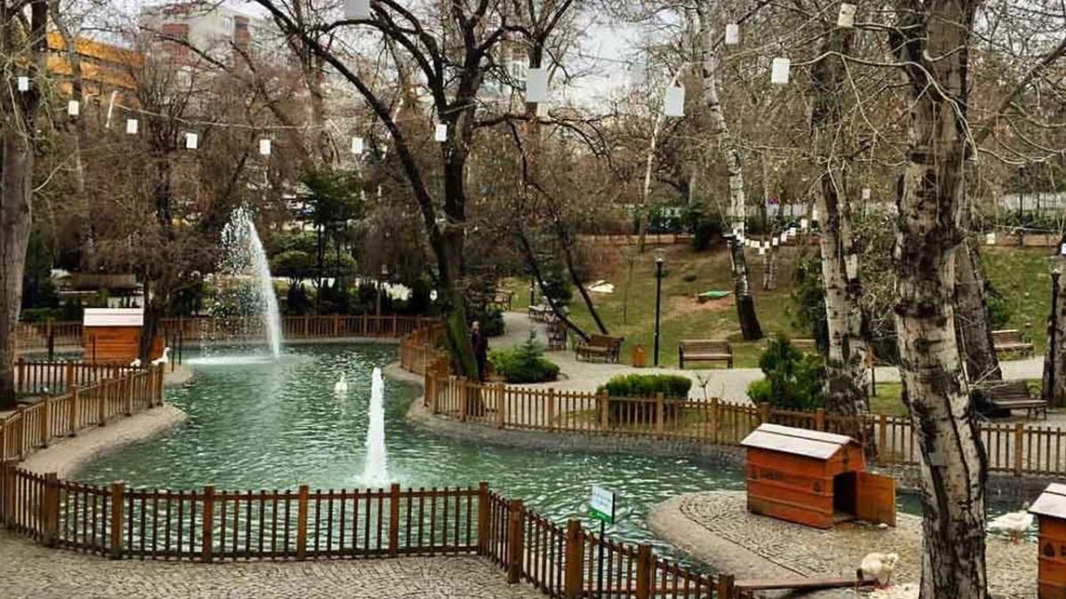 Ankara Kuğulu Park’ta gölet, fıskiye, ağaçlar ve yürüyüş alanları