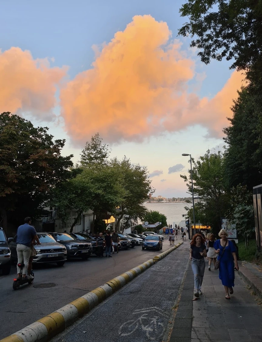 Ağaçlı sokakta yürüyen yayalar ve park halindeki araçlar