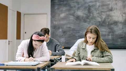 Sınıfta sıralarında ders çalışan öğrenciler