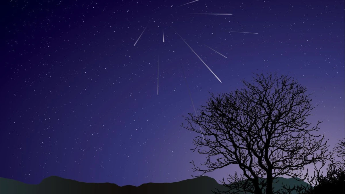 Yıldızlı gece göğünde meteor izleri ve ağaç silüeti