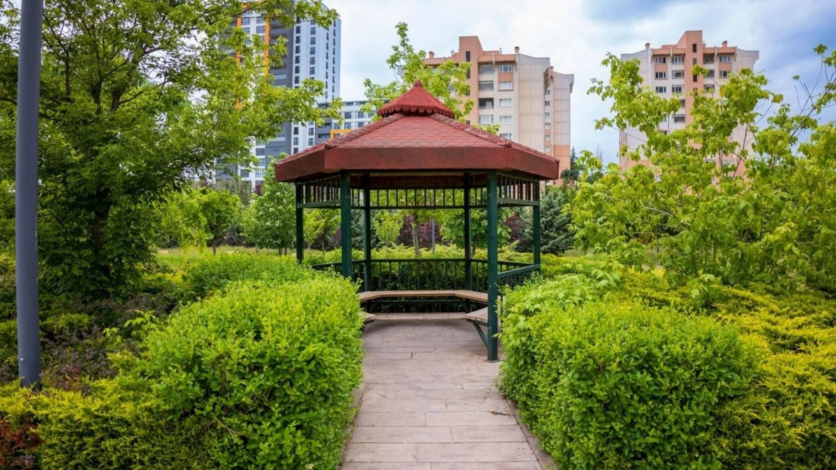 Yeşillikler arasında, apartmanların yakınındaki park kamelyası