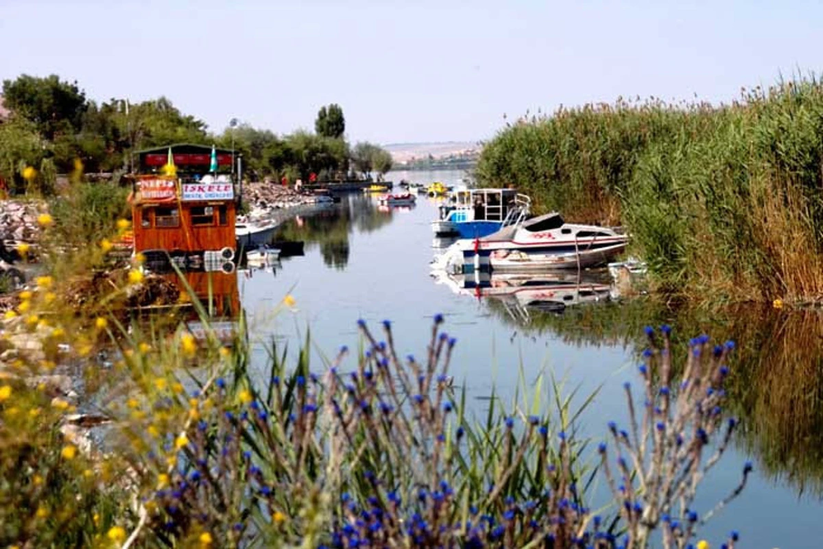 Bitki örtüsü ve teknelerle çevrili bir su yolu