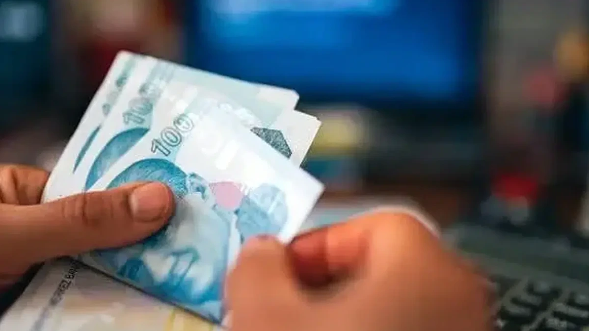 Türk lirası banknotlarını sayan eller