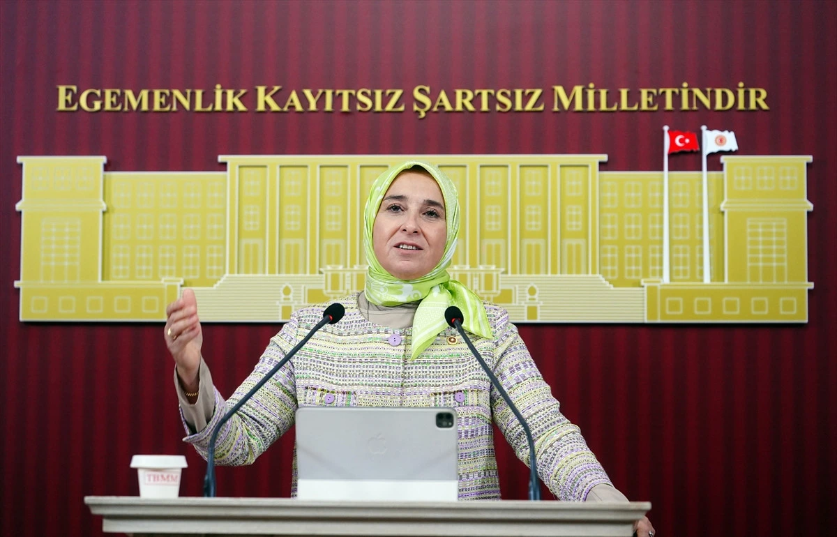 TBMM kürsüsünde konuşma yapan kadın milletvekili