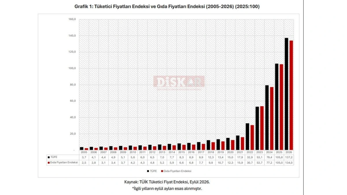 2005-2026 döneminde tüketici fiyatları ve gıda fiyatları endeksini gösteren grafik