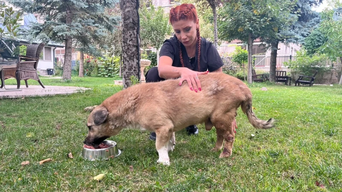 Yağmur Denli, bahçede bir köpeğin yanında duruyor