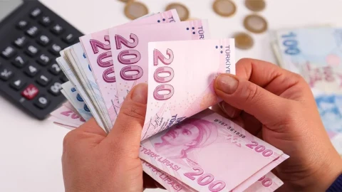 Ellerinde Türk lirası banknotları tutan bir kişi