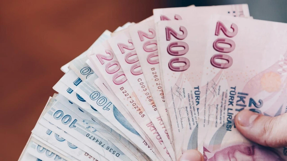 Bir elde tutulan Türk lirası banknotları